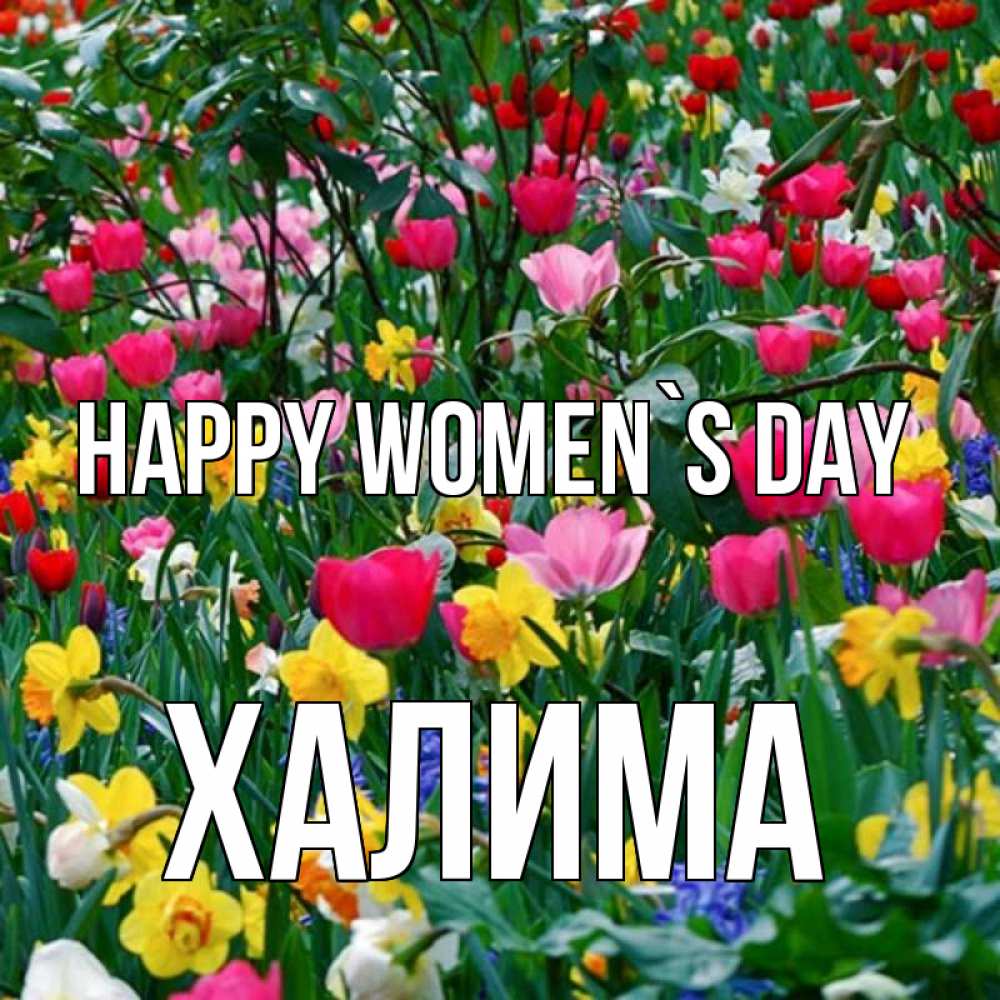 Greetings card с именем, ХАЛИМА happy women`s day с международным женским днем поздравления для женщины Greetings with text for free download 